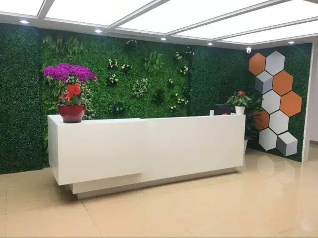 公司前臺擺放什么植物好？