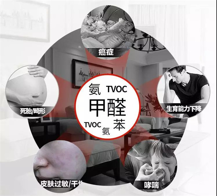 杭州辦公室擺放什么綠植可以除甲醛？